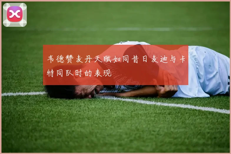 韦德赞麦丹天赋如同昔日麦迪与卡特同队时的表现